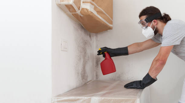 Professional Crawl Space Mold Remediation technician working in Upper Falls, MD